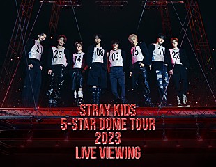 「Stray Kids、日本ドームツアーのライブ・ビューイング実施」