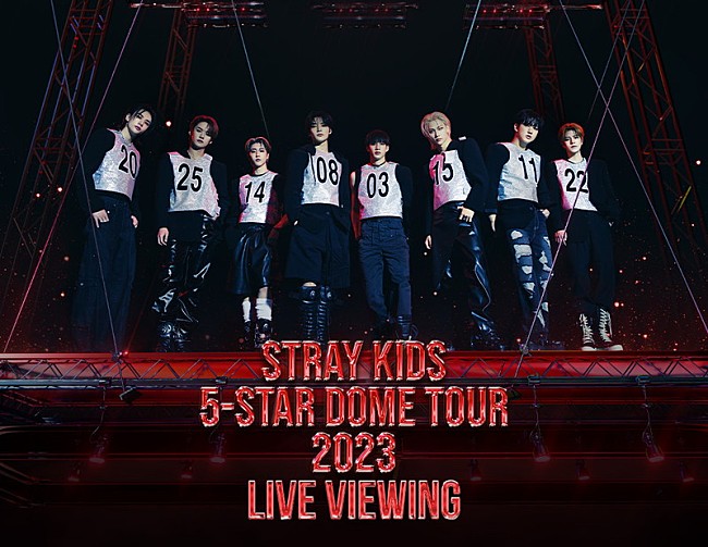 「Stray Kids、日本ドームツアーのライブ・ビューイング実施」1枚目/1