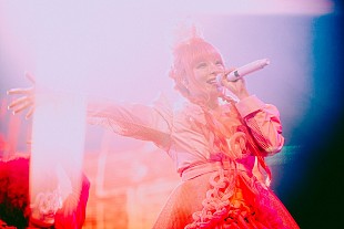 「きゃりーぱみゅぱみゅ初フジロックのライブレポ到着、超満員＆登場前から「きゃりー」コール」