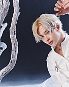 「NI-KI」16枚目/18