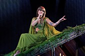 「テイラー・スウィフト、粋な計らいで「Death By A Thousand Cuts」をLA公演で再び披露」1枚目/1