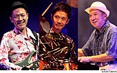 「かつしかトリオ、アコースティック編成でビルボードライブ公演決定」1枚目/1