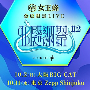 「女王蜂、FCクラブ“CLUB OF qb”会員限定ライブ東阪で開催決定」