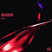 「SKY-HI／BE:FIRSTのスプリットシングル『Sarracenia / Salvia』アニメサイズ配信リリース」1枚目/4