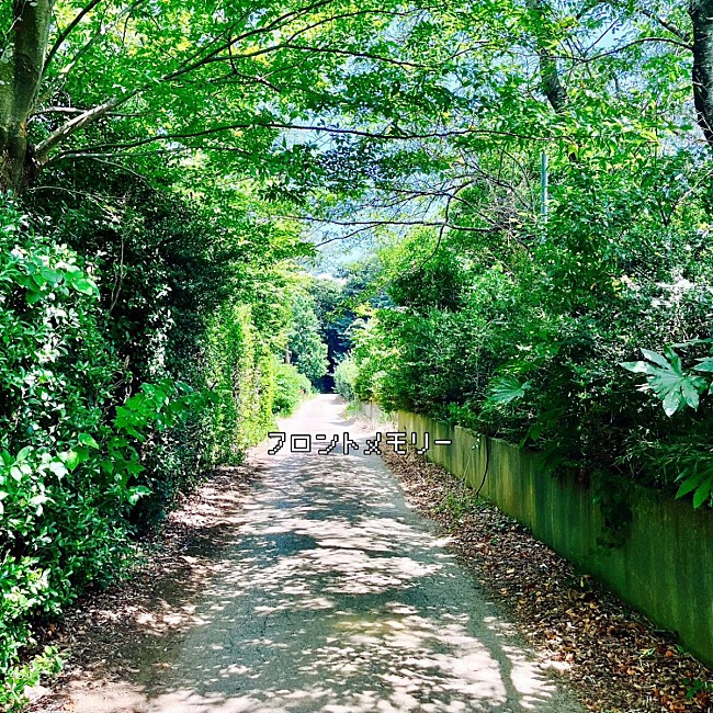 「神聖かまってちゃん、再録音曲「フロントメモリー feat. ACAね（ずっと真夜中でいいのに。）」をリリース」1枚目/3
