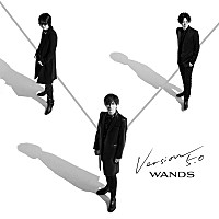 WANDS 会報⑤〜⑧4冊セット WANDS 会報⑤〜⑧4冊セット wands 会報のおすすめ人気商品一覧