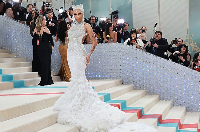 「ドージャ・キャット、約30万人のフォロワーを失うも前向き「本当に大切な人々と再びつながれる」」1枚目/1