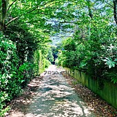 「神聖かまってちゃん 配信シングル「フロントメモリー feat. ACAね（ずっと真夜中でいいのに。）」」2枚目/4