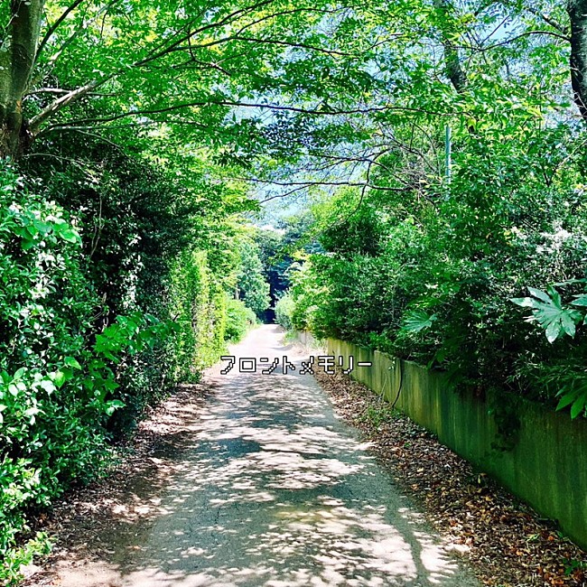「神聖かまってちゃん 配信シングル「フロントメモリー feat. ACAね（ずっと真夜中でいいのに。）」」2枚目/4