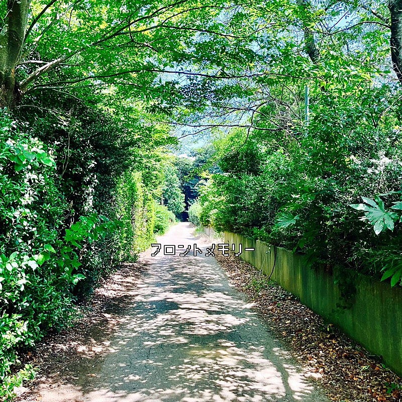 「神聖かまってちゃん 配信シングル「フロントメモリー feat. ACAね（ずっと真夜中でいいのに。）」」2枚目/4