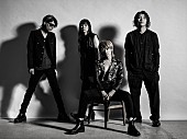 「a flood of circle×ストレイテナー、合同フリーライブのSNS生配信が決定」1枚目/4