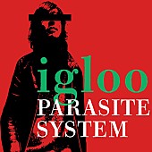 「Spotify Japan公式プレイリスト選出のigloo、1st AL『PARASITE SYSTEM』全曲配信」1枚目/3