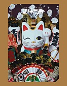 「椎名林檎 LIVE Blu-ray＆DVD『椎名林檎と彼奴等と知る諸行無常』通常盤」3枚目/8