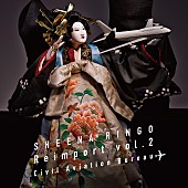 「椎名林檎 アナログ盤『逆輸入 ～航空局～』」8枚目/8