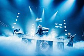 「DEZERT、メジャー1stアルバムリリース＆日本武道館ワンマンライブ開催決定」1枚目/2