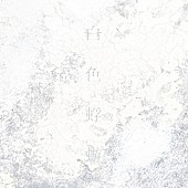 「Aimer 配信シングル「白色蜉蝣」」2枚目/2