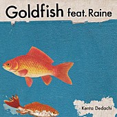 「Kenta Dedachi、新曲「Goldfish feat. Raine」デジタルリリース」1枚目/4