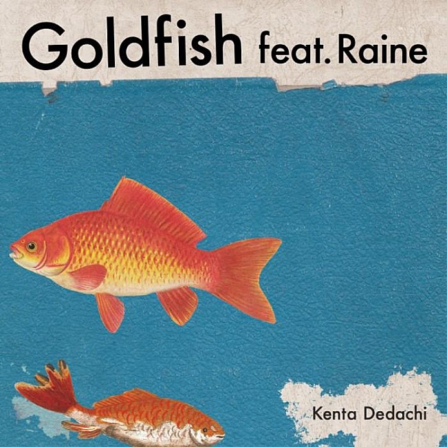 「Kenta Dedachi、新曲「Goldfish feat. Raine」デジタルリリース」1枚目/4
