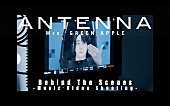 「Mrs. GREEN APPLE、表情演技＆宙吊りの模様を収めた「ANTENNA」MVビハインドを公開」1枚目/1