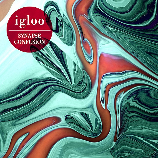 「Spotify JAPAN公式プレイリスト選出のiglooが2ndアルバム11月リリース、ジャケは中山晃子」1枚目/3