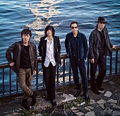 「エレファントカシマシ、デビュー35周年を締めくくる新曲「No more cry」MV公開」1枚目/3
