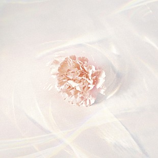 「【TikTok Weekly Top 20】マルシィ「ラブソング」が初登場で首位獲得、ハロウィン本番に向けてAdo「唱」も上昇か」