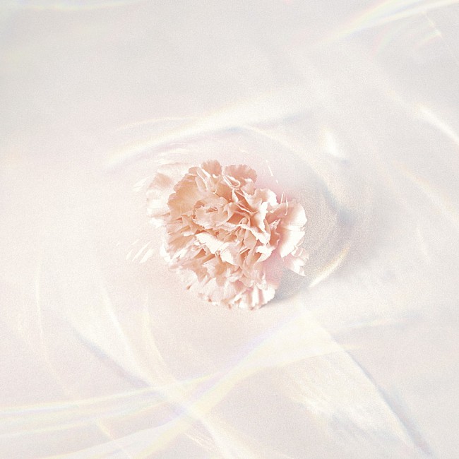 「【TikTok Weekly Top 20】マルシィ「ラブソング」が初登場で首位獲得、ハロウィン本番に向けてAdo「唱」も上昇か」1枚目/1