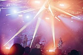 「羊文学、ニューALに【FUJI ROCK FESTIVAL’21】ライブ映像全曲収録決定」1枚目/2