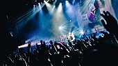 「ビッケブランカ、新EP初回盤付属のZepp DiverCity公演ライブ映像ダイジェストを公開」1枚目/3