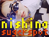 「にしな、Eテレ新アニメ『ドッグシグナル』EDテーマ「シュガースポット」のMV公開」1枚目/3