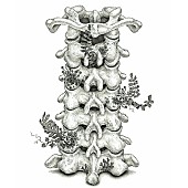 「ヒグチアイ、アニメ『進撃の巨人』The Final Season 完結編（各話版）EDテーマに新曲「いってらっしゃい」書き下ろし」1枚目/2