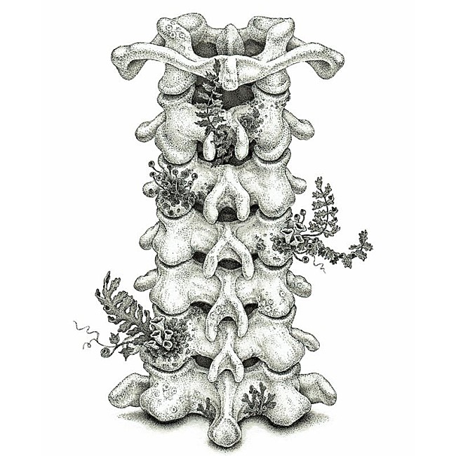 「ヒグチアイ、アニメ『進撃の巨人』The Final Season 完結編（各話版）EDテーマに新曲「いってらっしゃい」書き下ろし」1枚目/2