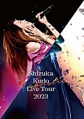 「工藤静香、ライブ映像作品『Shizuka Kudo Acoustic Live Tour 2023』ジャケ写公開」1枚目/4