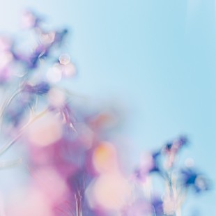 「シャイトープ、愛情に溢れた楽曲「tengoku」MV公開決定」