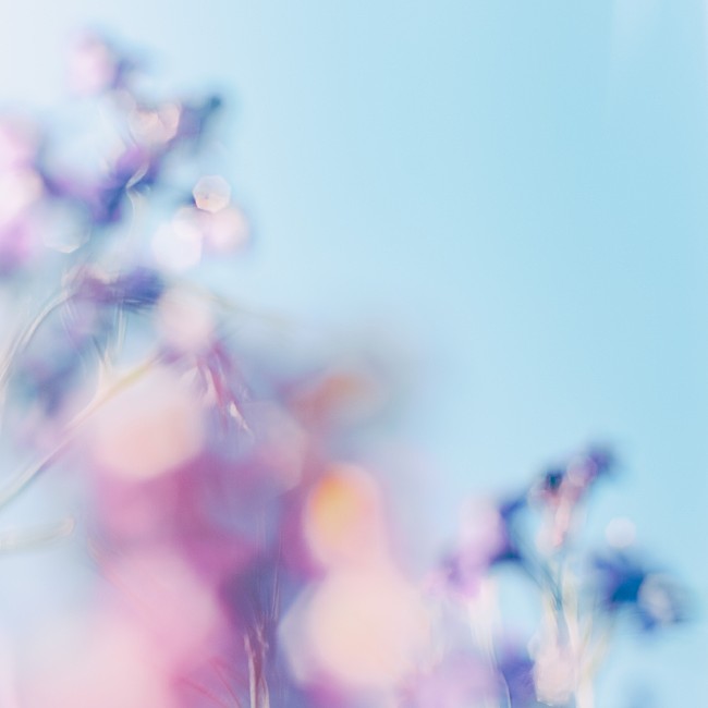 「シャイトープ、愛情に溢れた楽曲「tengoku」MV公開決定」1枚目/2