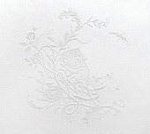 「Aimer 配信シングル「白色蜉蝣」」3枚目/5