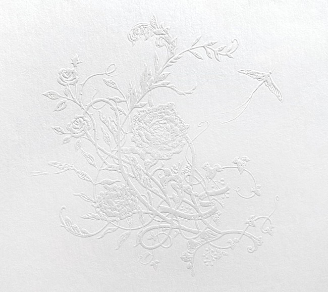 「Aimer 配信シングル「白色蜉蝣」」3枚目/5