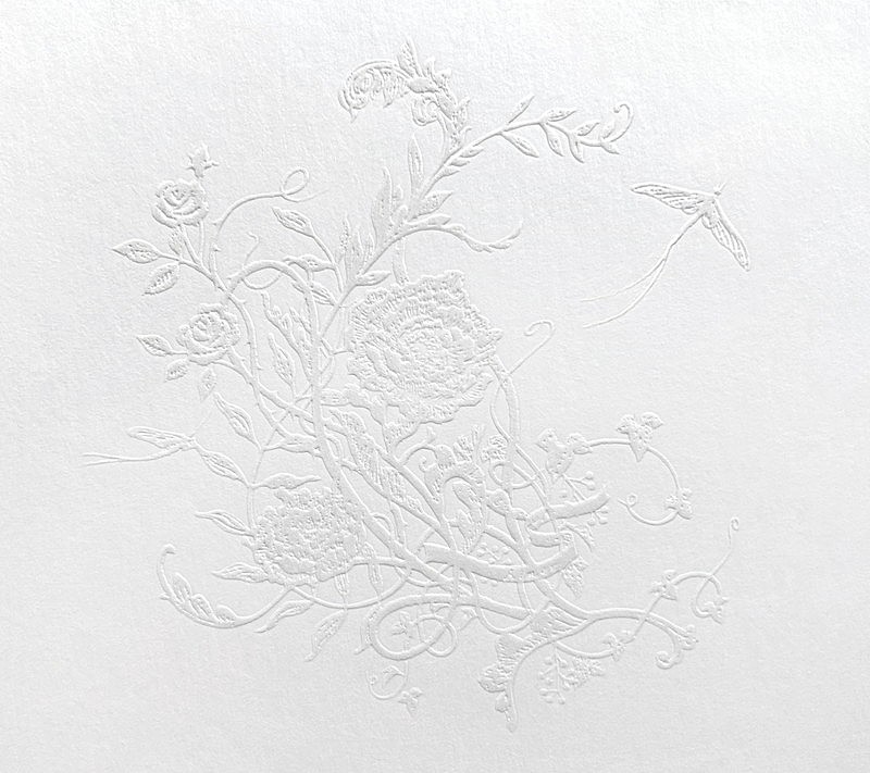 「Aimer 配信シングル「白色蜉蝣」」3枚目/5