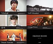 「ENHYPEN、ミニアルバム『ORANGE BLOOD』プレビュー映像を公開」1枚目/1