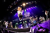「NEMOPHILA、全国12か所を回るワンマンツアーがスタート」1枚目/6