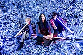 「MUCC、12月28日にアルバム『Timeless』のリリースとアニバーサリーブックの発売決定」1枚目/3
