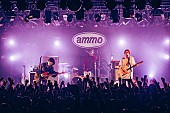 「＜ライブレポート＞ammo、【温厚故に高温】ツアー最終公演でメジャーデビュー発表　ライブハウスで見せつけたロックバンドの真髄」1枚目/14