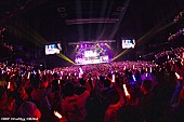 「＜ライブレポート＞Poppin&amp;#039;Partyが【Welcome to Poppin&amp;#039;Land】で見せた“ラブリーな凄み”「10年目の自分たちの姿が見えてきた」」1枚目/7