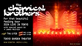 「ケミカル・ブラザーズ、東京追加公演が決定」1枚目/1