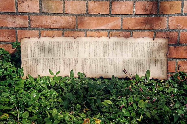 「YOASOBI シングル『勇者』 」8枚目/10