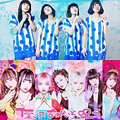 「ぽわん「売れてくれたら僕らも報われます」アイドルグループ・可愛いって言わないと呪う！デビュー記念オフィシャルインタビュー」1枚目/1