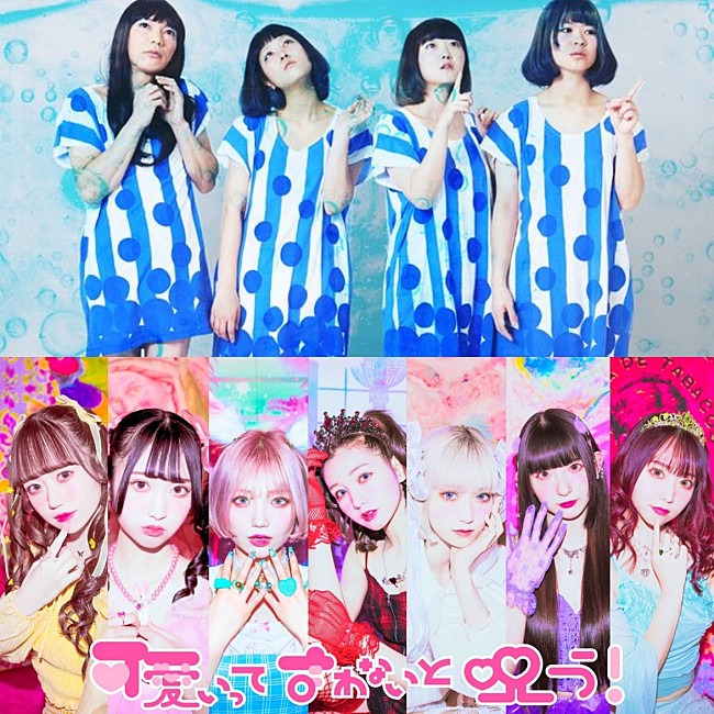 「ぽわん「売れてくれたら僕らも報われます」アイドルグループ・可愛いって言わないと呪う！デビュー記念オフィシャルインタビュー」1枚目/1