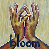 「ネクライトーキー 配信シングル「bloom」」2枚目/3