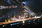 「＜ライブレポート＞Aimer、「いつも“あなた”に歌っているからね」5年ぶりFCツアーで伝えた心の距離」1枚目/16