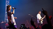 「Do As Infinity、恒例の年末ライブをU-NEXT独占ライブ配信決定」1枚目/3